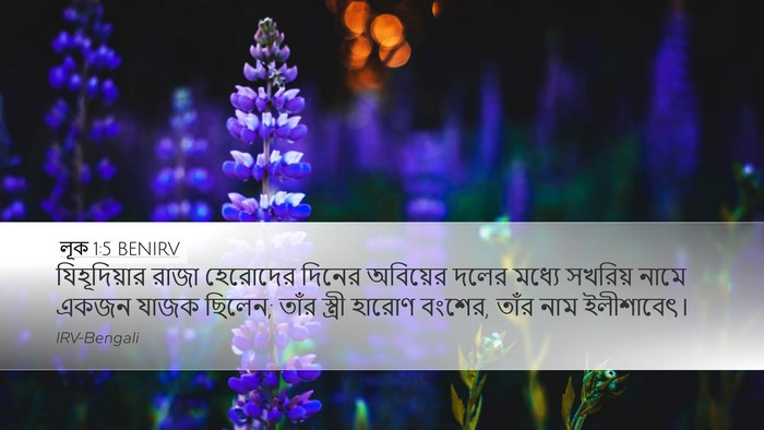 লূক 1:5 BENIRV Bible Verse Image