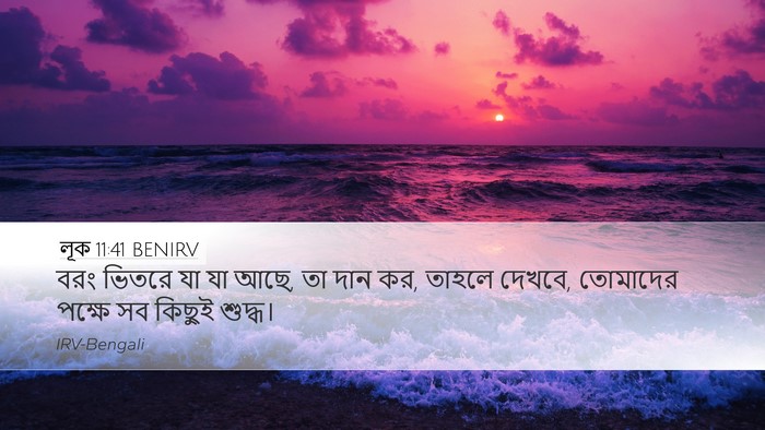 লূক 11:41 BENIRV Desktop Wallpaper - বরং ভিতরে যা যা - Desktop Bible Verse Wallpaper