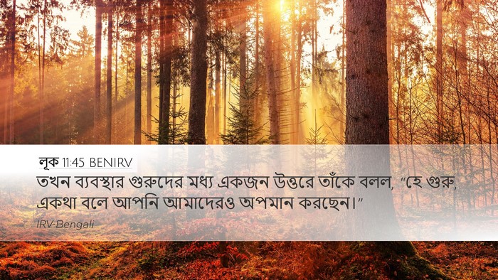 লূক 11:45 BENIRV Bible Verse Image