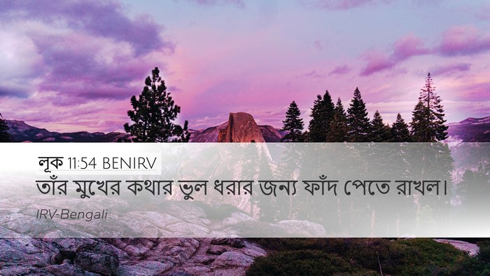 লূক 11:54 BENIRV Bible Verse Image