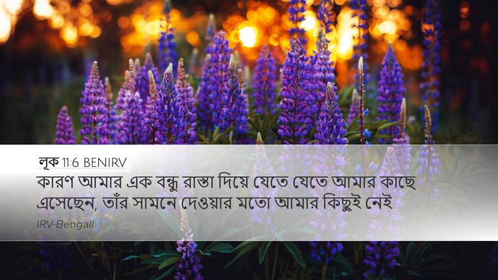 লূক 11:6 BENIRV Desktop Wallpaper - কারণ আমার এক বন্ধু - Desktop Bible Verse Wallpaper
