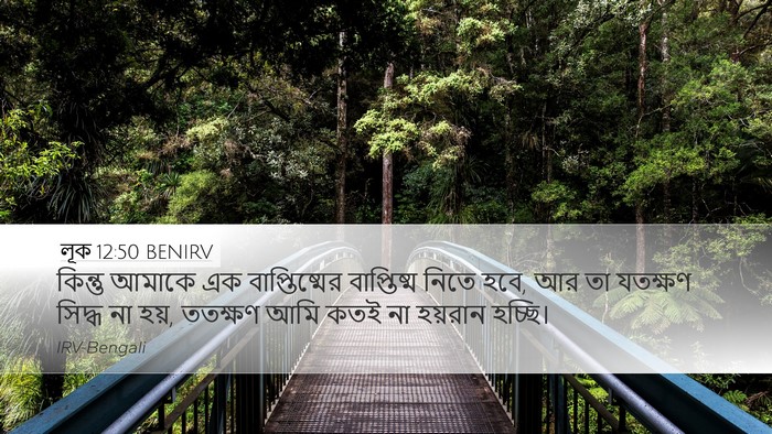 লূক 12:50 BENIRV Bible Verse Image