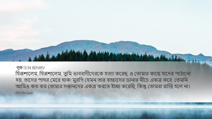 লূক 13:34 BENIRV Bible Verse Image