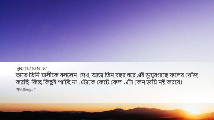 লূক 13:7 BENIRV Bible Verse Image