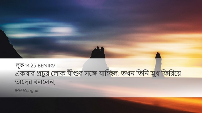 লূক 14:25 BENIRV Bible Verse Image