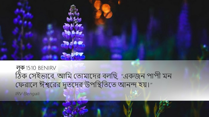 লূক 15:10 BENIRV Bible Verse Image