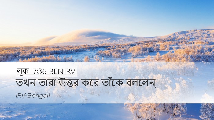 লূক 17:36 BENIRV Desktop Wallpaper - তখন তারা উত্তর করে - Desktop Bible Verse Wallpaper