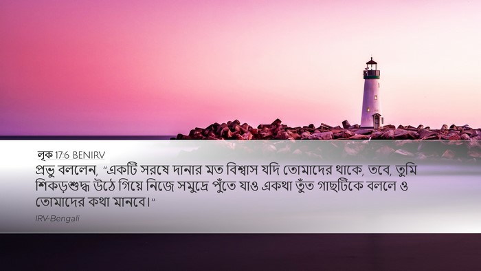লূক 17:6 BENIRV Bible Verse Image
