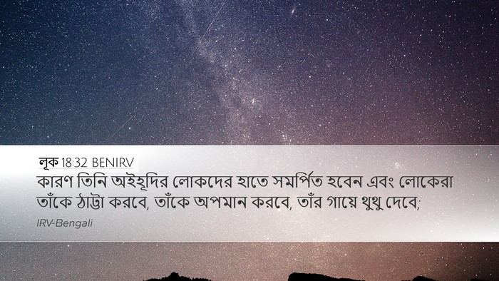 লূক 18:32 BENIRV Bible Verse Image