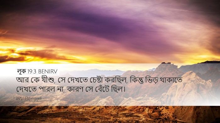 লূক 19:3 BENIRV Desktop Wallpaper - আর কে যীশু, সে - Desktop Bible Verse Wallpaper