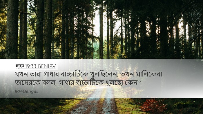 লূক 19:33 BENIRV Desktop Wallpaper - যখন তারা গাধার - Desktop Bible Verse Wallpaper