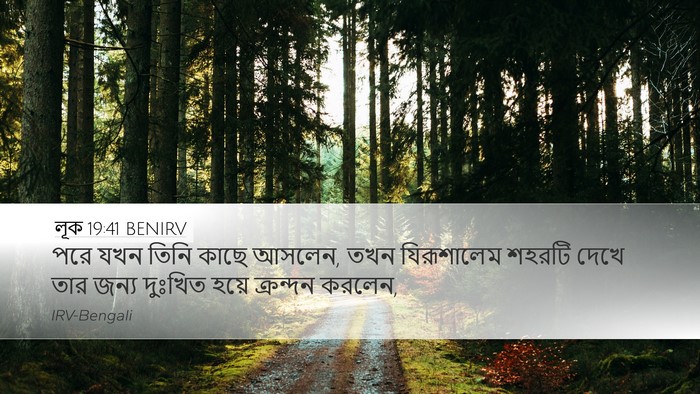 লূক 19:41 BENIRV Bible Verse Image