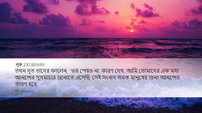 লূক 2:10 BENIRV Bible Verse Image