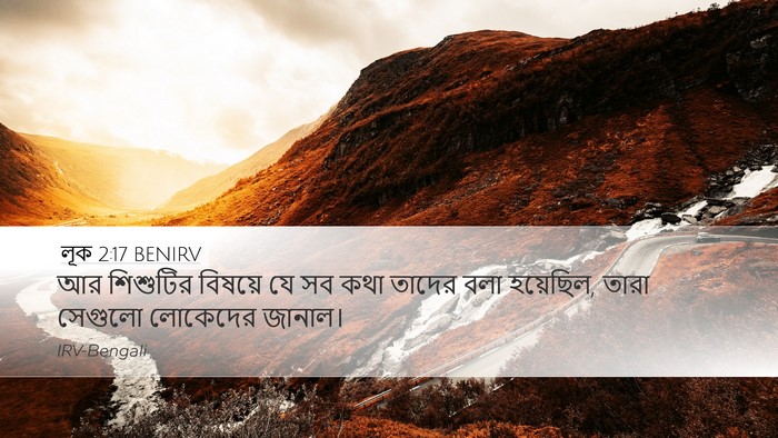 লূক 2:17 BENIRV Desktop Wallpaper - আর শিশুটির বিষয়ে - Desktop Bible Verse Wallpaper