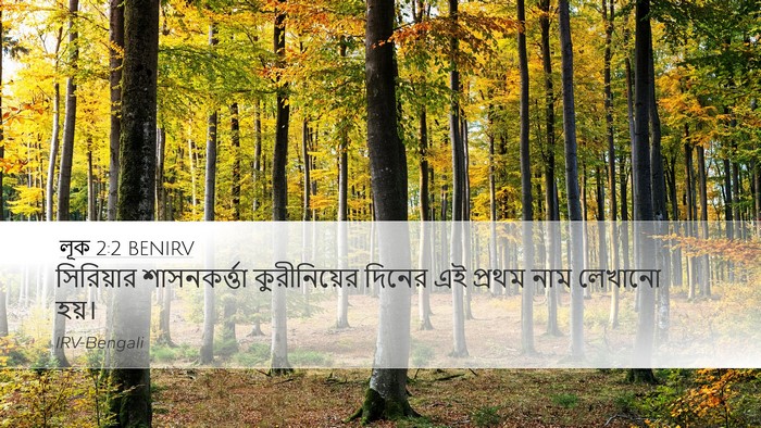 লূক 2:2 BENIRV Bible Verse Image