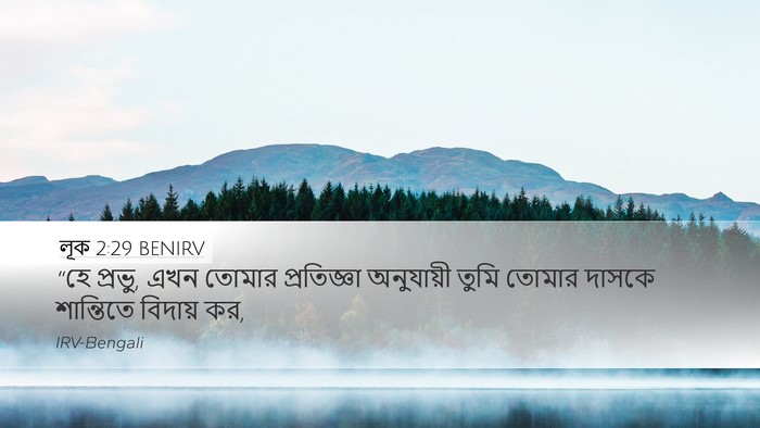 লূক 2:29 BENIRV Bible Verse Image