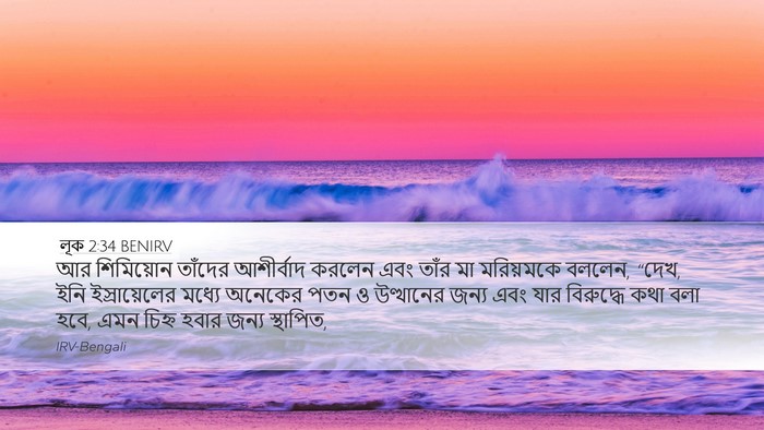 লূক 2:34 BENIRV Bible Verse Image