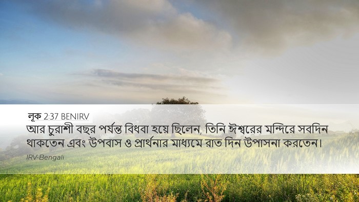 লূক 2:37 BENIRV Bible Verse Image