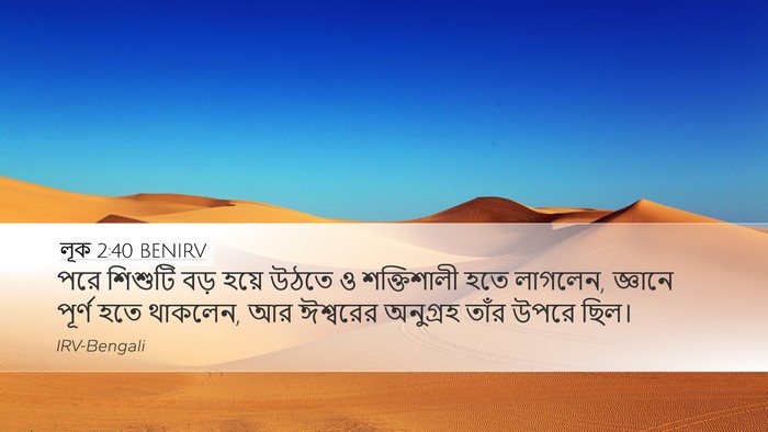 লূক 2:40 BENIRV Bible Verse Image