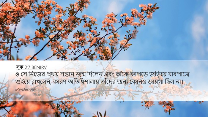 লূক 2:7 BENIRV Bible Verse Image