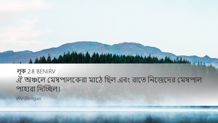 লূক 2:8 BENIRV Desktop Wallpaper - ঐ অঞ্চলে - Desktop Bible Verse Wallpaper