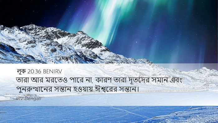 লূক 20:36 BENIRV Desktop Wallpaper - তারা আর মরতেও পারে - Desktop Bible Verse Wallpaper