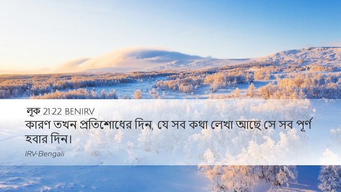 লূক 21:22 BENIRV Bible Verse Image