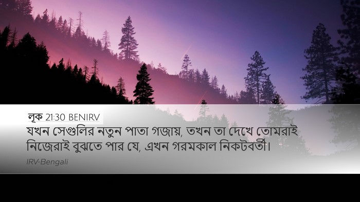 লূক 21:30 BENIRV Bible Verse Image