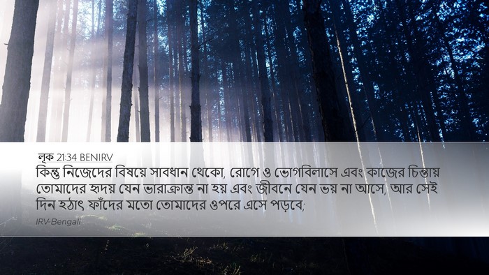 লূক 21:34 BENIRV Bible Verse Image