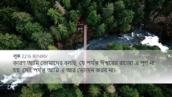 লূক 22:16 BENIRV Bible Verse Image