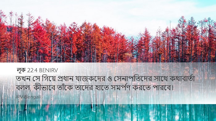 লূক 22:4 BENIRV Desktop Wallpaper - তখন সে গিয়ে - Desktop Bible Verse Wallpaper