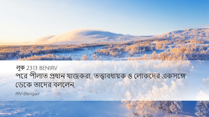 লূক 23:13 BENIRV Desktop Wallpaper - পরে পীলাত প্রধান - Desktop Bible Verse Wallpaper