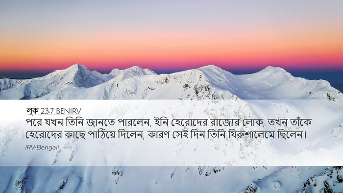 লূক 23:7 BENIRV Bible Verse Image