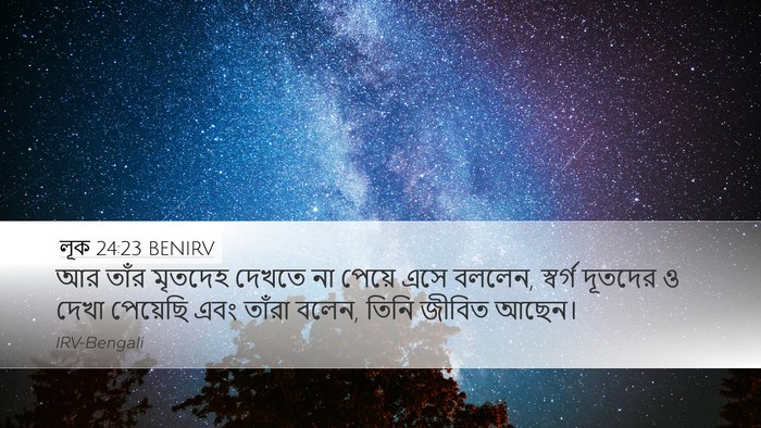 লূক 24:23 BENIRV Bible Verse Image