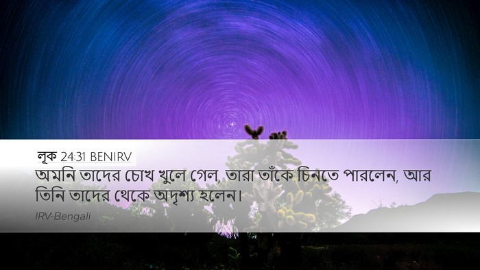 লূক 24:31 BENIRV Bible Verse Image