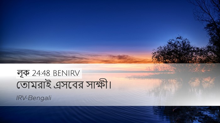 লূক 24:48 BENIRV Bible Verse Image
