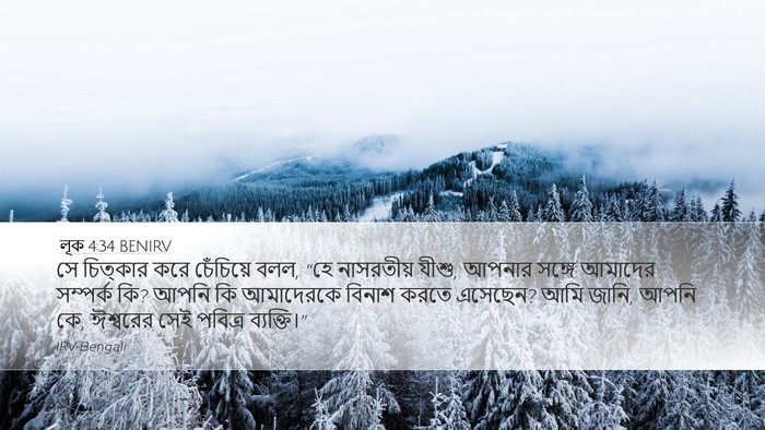 লূক 4:34 BENIRV Bible Verse Image