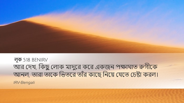 লূক 5:18 BENIRV Bible Verse Image