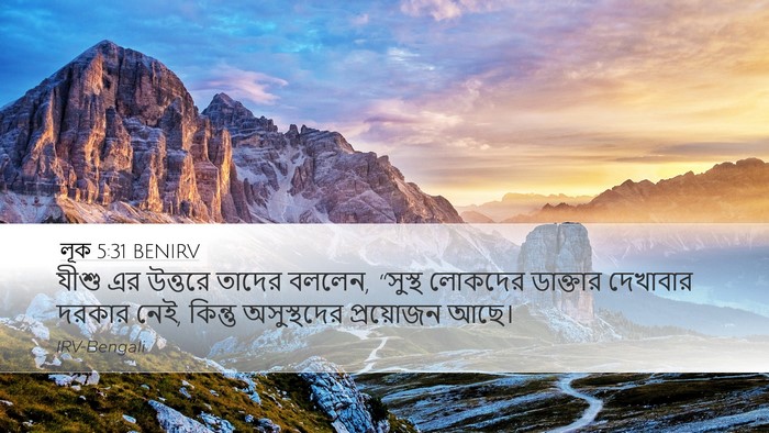 লূক 5:31 BENIRV Bible Verse Image