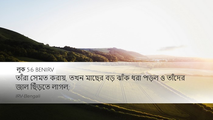 লূক 5:6 BENIRV Desktop Wallpaper - তাঁরা সেমত করায়, - Desktop Bible Verse Wallpaper