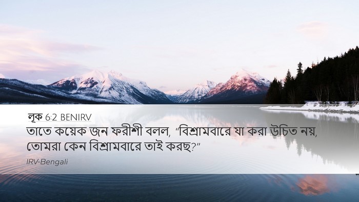 লূক 6:2 BENIRV Desktop Wallpaper - তাতে কয়েক জন - Desktop Bible Verse Wallpaper
