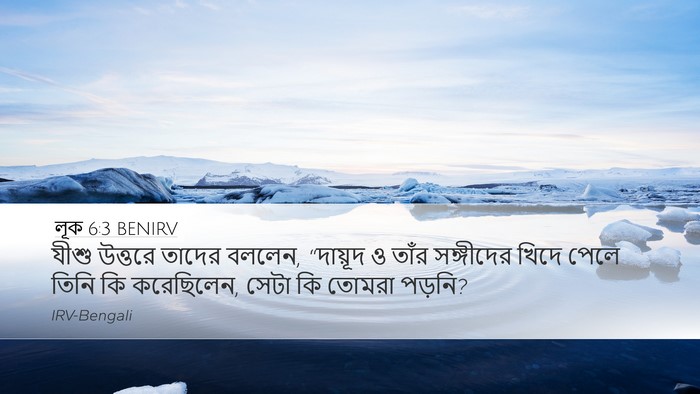 লূক 6:3 BENIRV Bible Verse Image