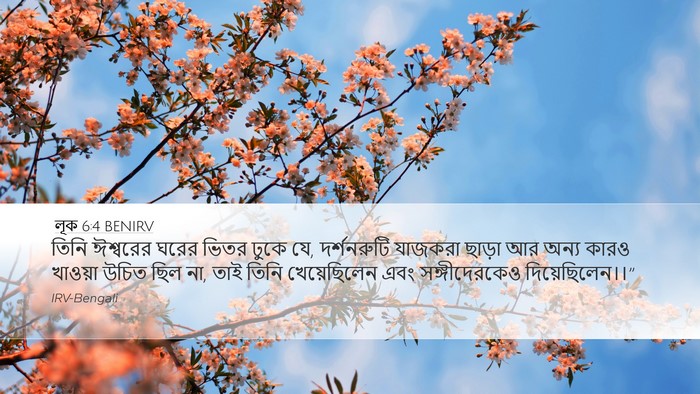 লূক 6:4 BENIRV Desktop Wallpaper - তিনি ঈশ্বরের ঘরের - Desktop Bible Verse Wallpaper