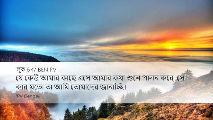 লূক 6:47 BENIRV Bible Verse Image
