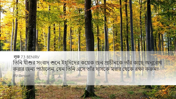 লূক 7:3 BENIRV Desktop Wallpaper - তিনি যীশুর সংবাদ - Desktop Bible Verse Wallpaper