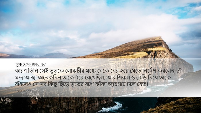লূক 8:29 BENIRV Bible Verse Image