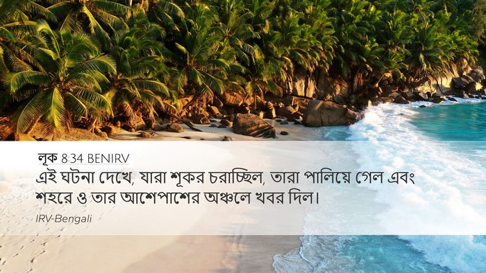 লূক 8:34 BENIRV Bible Verse Image