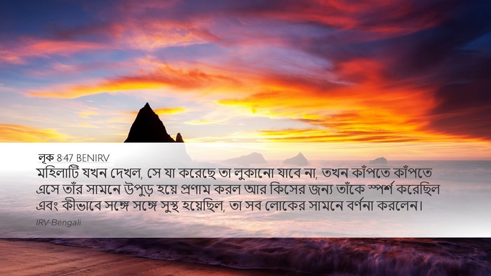 লূক 8:47 BENIRV Desktop Wallpaper - মহিলাটি যখন দেখল, - Desktop Bible Verse Wallpaper
