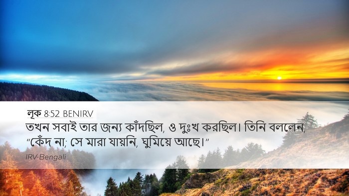 লূক 8:52 BENIRV Desktop Wallpaper - তখন সবাই তার জন্য - Desktop Bible Verse Wallpaper