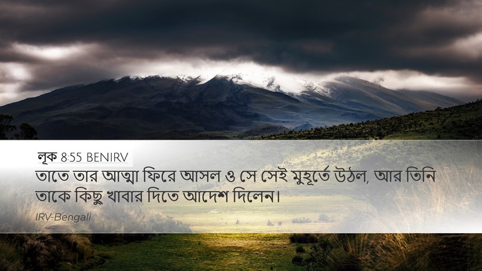 লূক 8:55 BENIRV Desktop Wallpaper - তাতে তার আত্মা - Desktop Bible Verse Wallpaper
